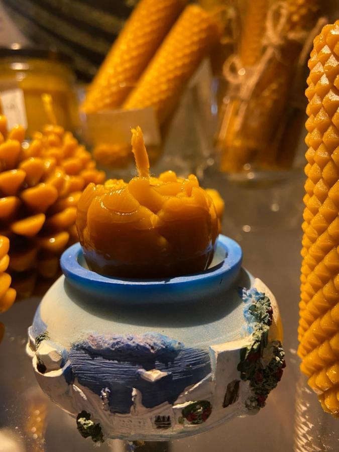 Agroturystyka Sarni Stok Krynica Zdroj Εξωτερικό φωτογραφία
