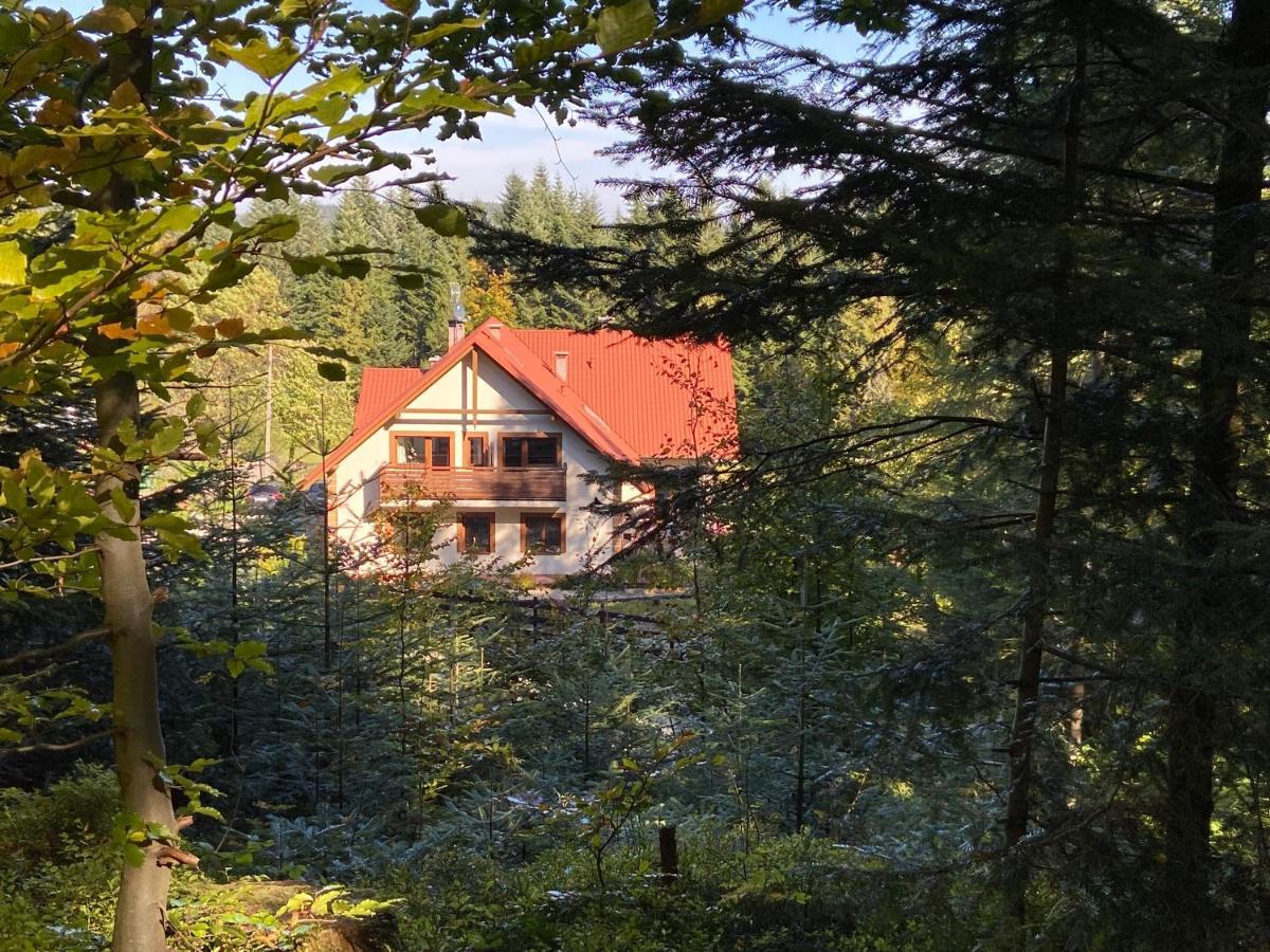 Agroturystyka Sarni Stok Krynica Zdroj Εξωτερικό φωτογραφία